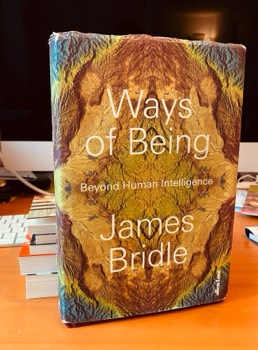 James Bridle